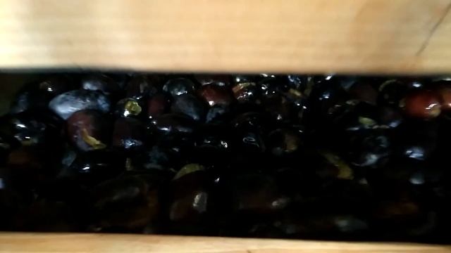 чернослив своими руками