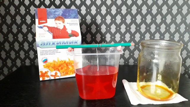 Выращивание КРИСТАЛЛОВ В ДОМАШНИХ УСЛОВИЯХ _ Опыт 2 #кристаллы #выращиваниекристаллов #crystal