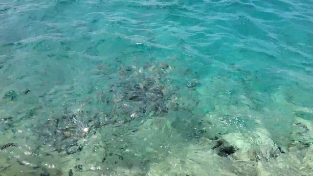 My Trip To Hotel Brisas Santa Lucia