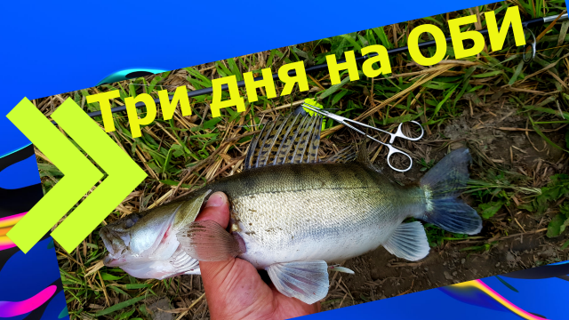 Три дня на реке. Рыбалка на Оби. Спиннинг.
