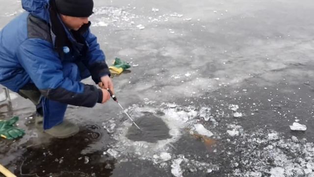 Амур, зимняя рыбалка на тайменя. Воблер Bay Blue.