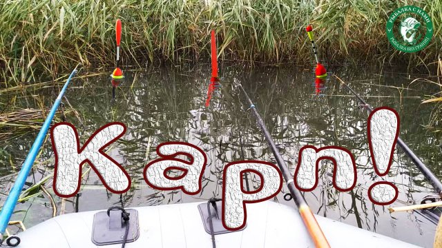 ВЫТАСКИВАЕМ БОЛЬШУЮ РЫБИНУ В КАМЫШАХ! ЗАКРЫВАЕМ СЕЗОН НА КАРПА, САЗАНА, ЛИНЯ, РЫБАЛКА В КАЗАХСТАНЕ!
