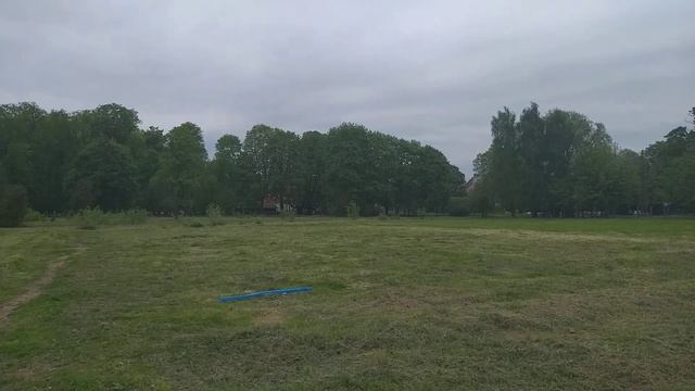 Riga.Погода 25.05.2022.