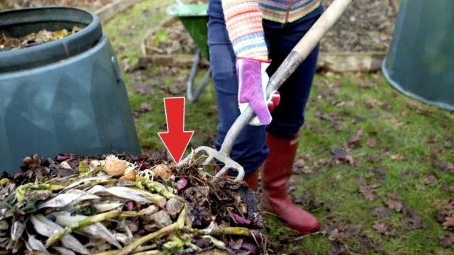 Компостная куча перегниет в 3 раза быстрее если делать так осенью! Ускоряем перегнивание компоста
