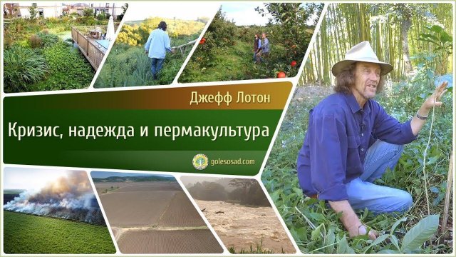 ДЖЕФФ ЛОТОН "КРИЗИС, НАДЕЖДА И ПЕРМАКУЛЬТУРА!"
