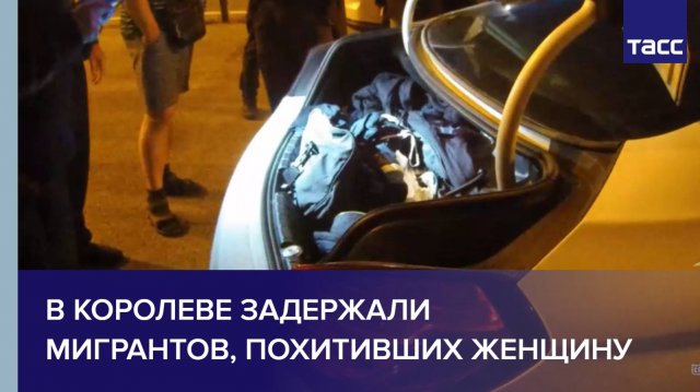 В Королеве задержали мигрантов, похитивших женщину