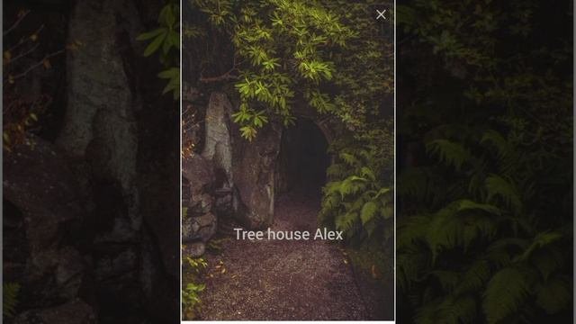 ♪♡ песни в стиле goblincore♡♪