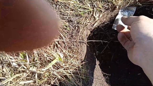 Тест металлоискателя TX-850 в полевых условиях. TX-850 и X-Terra 705. Почему я выбрал "китайца".