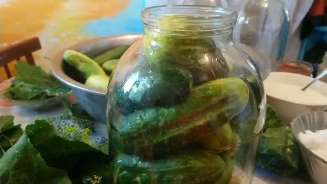 Маринованные огурчики в 3х литровой банке