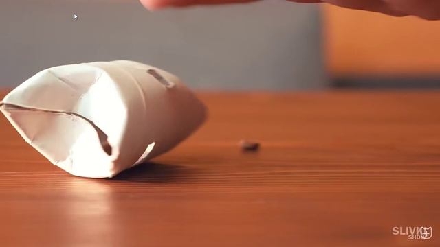 6 СУПЕР-ГАДЖЕТОВ ДЛЯ КОТОВ от СЛИВКИШОУ