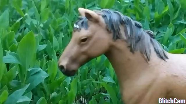 Жеребята VS взрослые лошади Шляйх/schleich