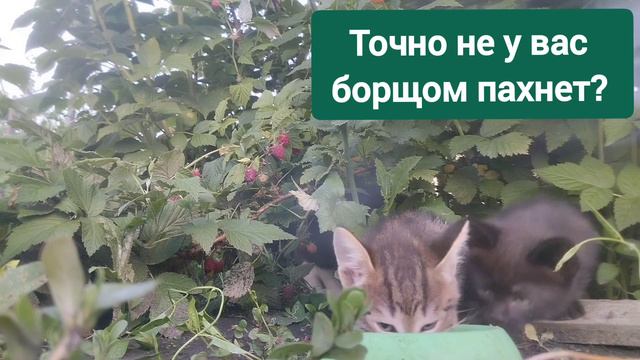 1000085857.mp4