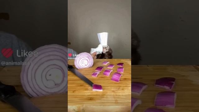 😂😂😂