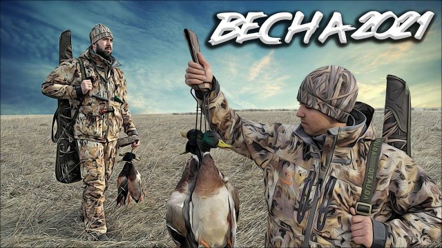 Охота на селезня с подсадной уткой | Весенняя охота в Сибири