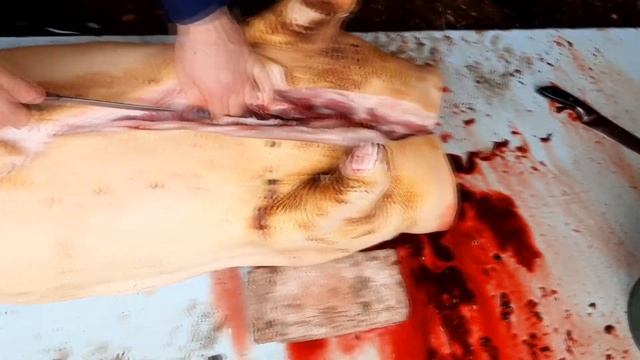 Быстрая РАЗДЕЛКА ТУШИ СВИНЬИ для продажи! КАК РАЗДЕЛЫВАТЬ КАБАНА!!!