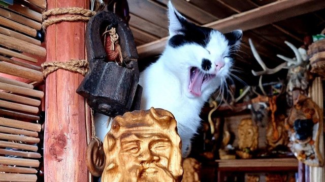 Yoll's stream из Совиного дола. Последний день зимней стройки! часть 2