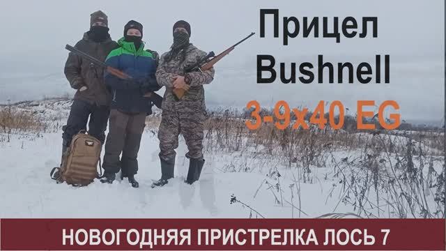 Прицел Bushnell 3-9x40EG новогодняя пристрелка Лось 7