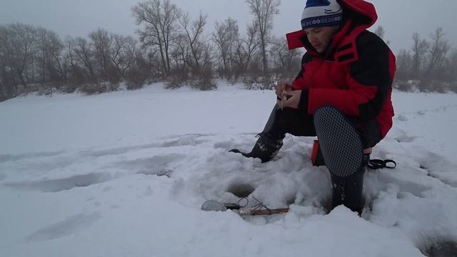 Ловля судака на нарезку зимой. Рыбалка на жерлицы