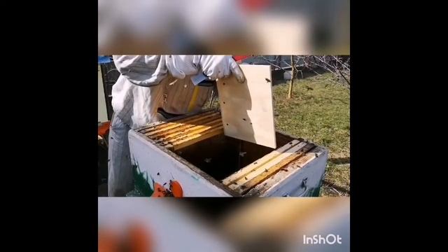 Японский улей. Пчеловодом может стать каждый.