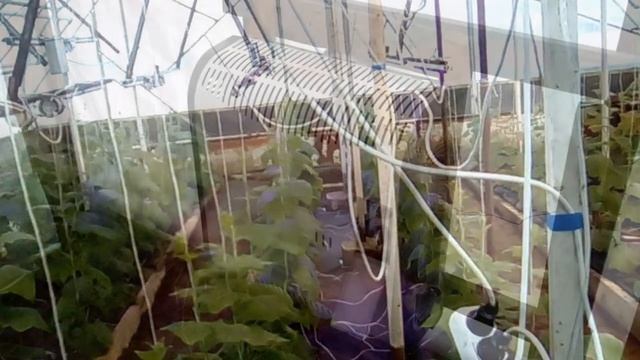 ОТОПЛЕНИЕ ТЕПЛИЦЫ Способы обогрева теплицы зимой