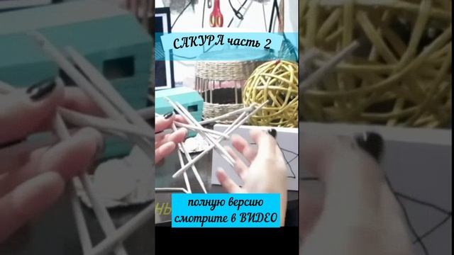 #Shorts САКУРА часть 2