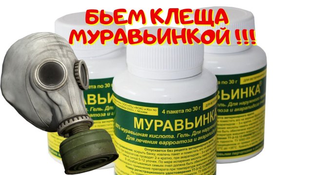 Муравьиная кислота против клеща варроа. - Инструкция по применению муравьиной кислоты.