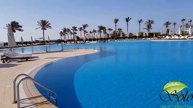 12 лучших отелей Шарм Эль Шейха в безветренных бухтах для отдыха зимой в Египте и цены (актуально)