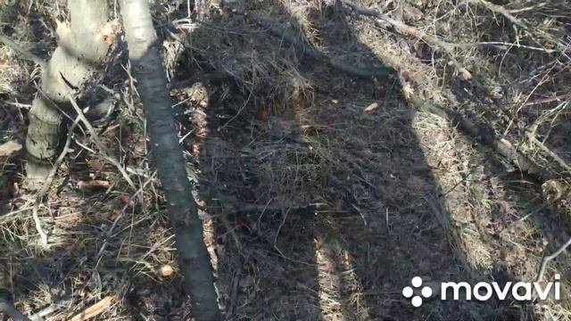 Петли на куницу установка и проверка.