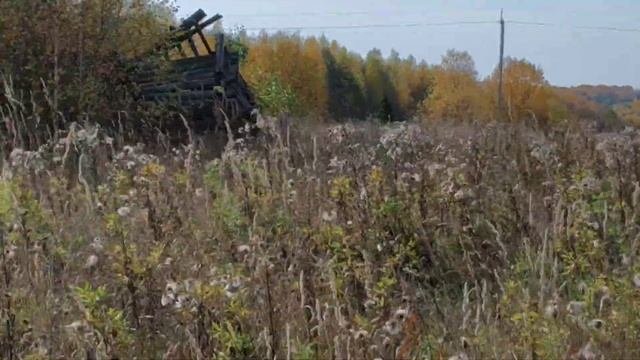 Заброшенные деревни Костромской области. Деревня нашего детства Ново-Шангское.