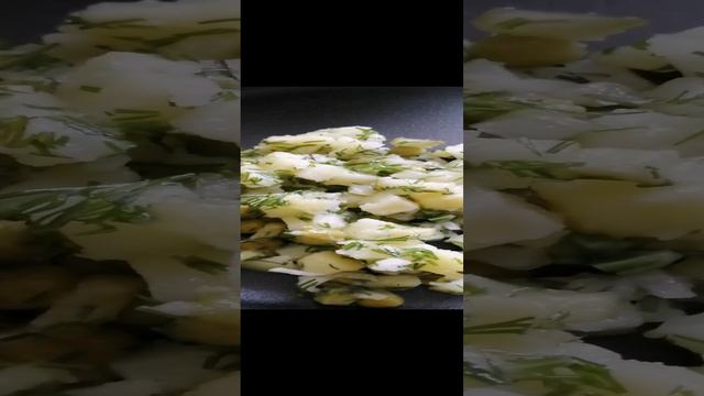 Фаворит