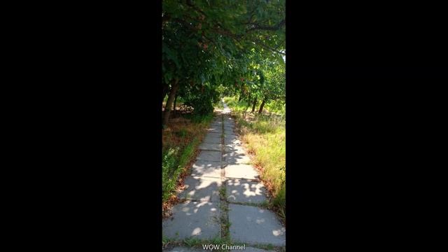 Новая Каховка, наши дни