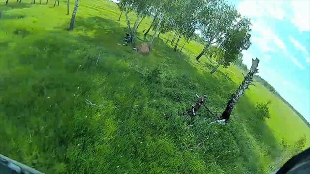 Выходной одного дня