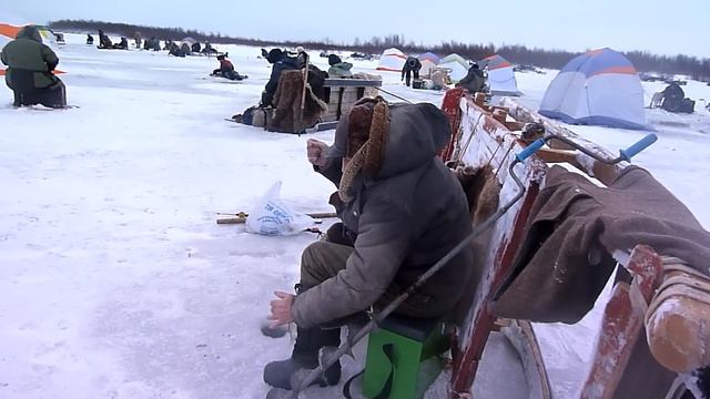 Рыбалка на озере Ловозеро