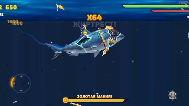 играю в акул