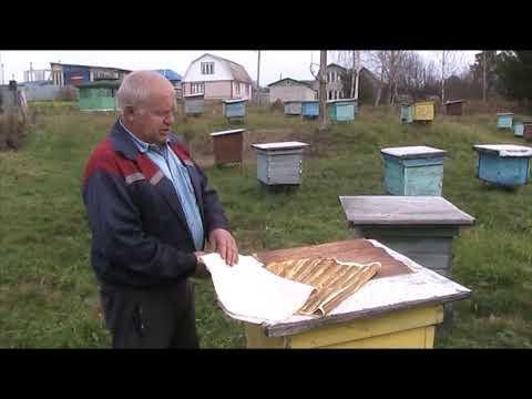 ХОЛСТИК ИЛИ ПОЛИЭТИЛЕНОВАЯ ПЛЁНКА ПРИ ЗИМОВКЕ ПЧЁЛ