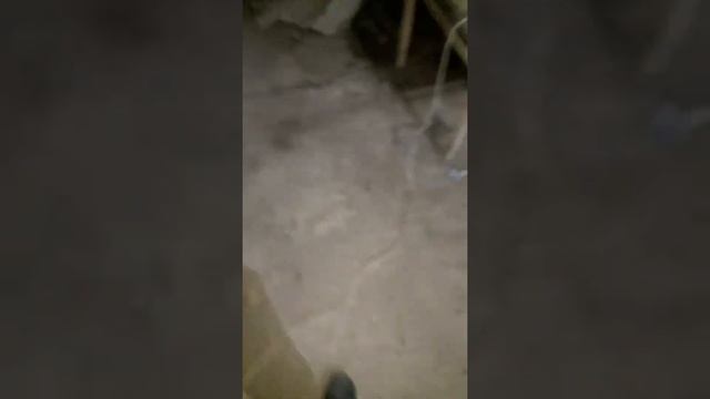 нива 21214 чищу дроссельную заслонку и датчик холостого хода