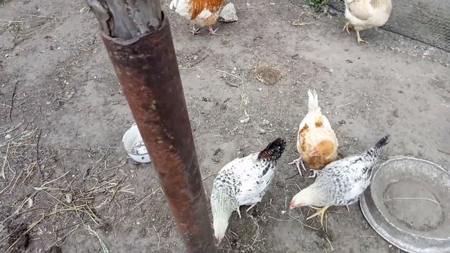 Три способа выровнять столб