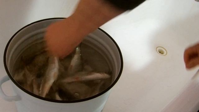 СКОЛЬКО НУЖНО ВЫМАЧИВАТЬ РЫБУ ?