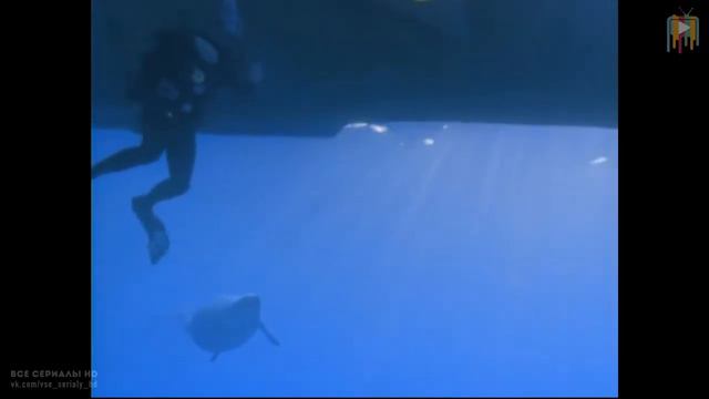 ПРОГУЛКИ С МОРСКИМИ ЧУДОВИЩАМИ 2001 МИНИ СЕРИАЛ