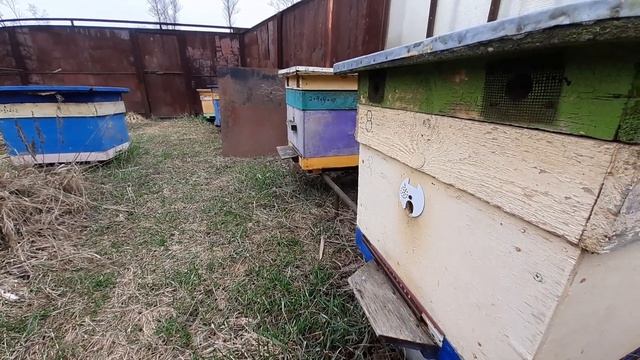 Весна, как весна. Чего её бояться?