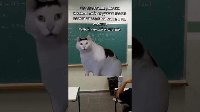 abama