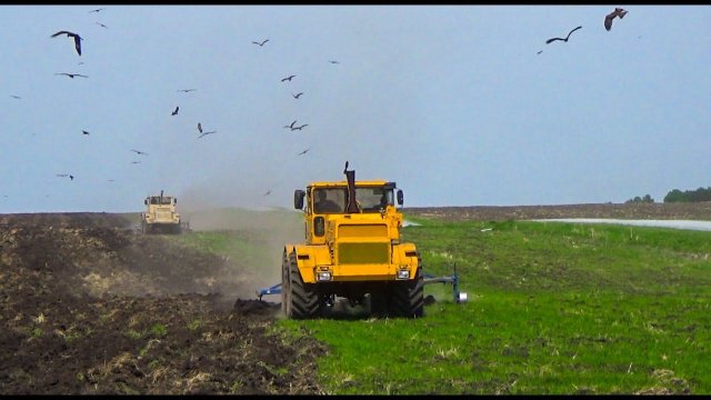 Старые кировцы К 701 с новыми скоростными плугами ПСКУ 8 на обработке полей!