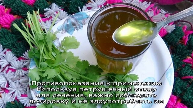 Отвар петрушки — польза и вред ароматного напитка