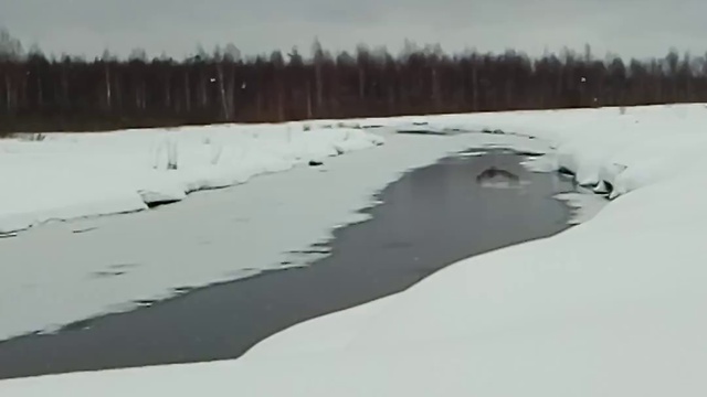 Мотобуксировщик Мужик по глубокому снегу на лыжных модулях