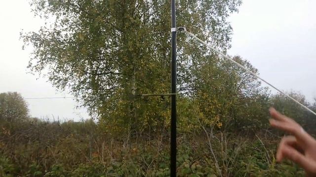 Ловля певчих птиц на орнитологическую сеть. Немного из отдыха в деревне!)