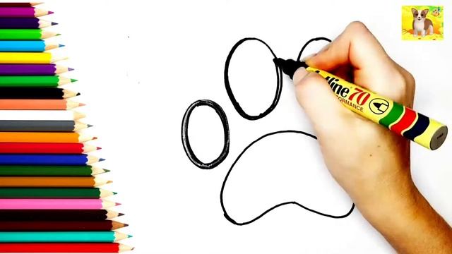 Лапка рисунок для детей.Как рисовать Лапу.Раскраска.