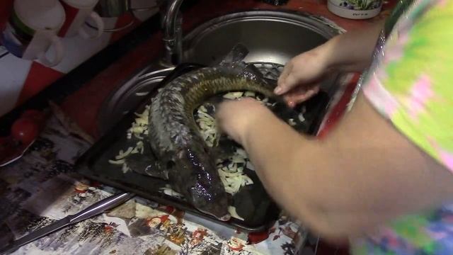Осетр, запеченный в духовке целиком - вкусный рецепт. Украшение праздничного стола на День Рождения