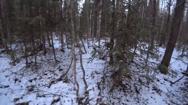 и такая охота с р. г. Радой в Архангельской области,тоже бывает. 22.10.22 г.