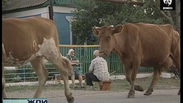 Жди Меня 20.08.2007
