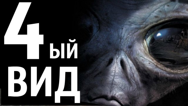 ЧЕТВЁРТЫЙ ВИД  /// неправильный обзор